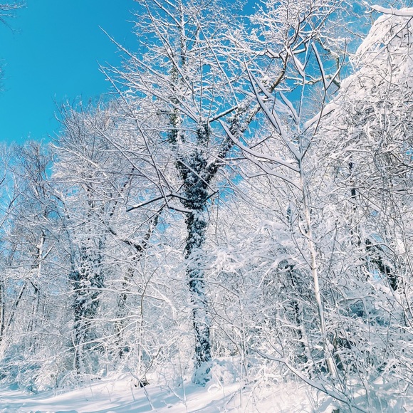 Meet your Posher, Julia - Picture 1 of 1